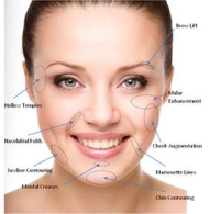 Области введения препарата