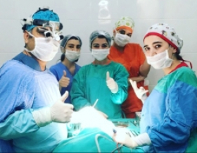 Али Алиев и его команда